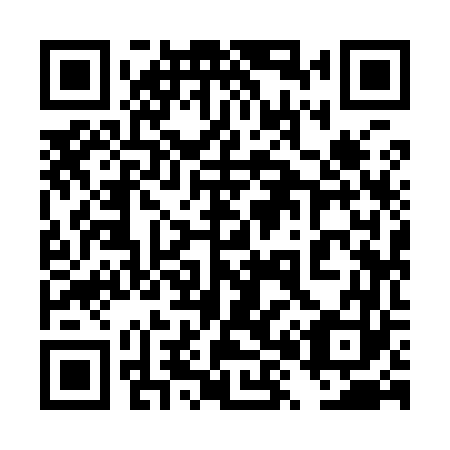 QR code for plate 4X9 963