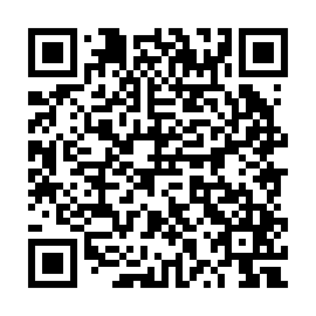 QR code for plate 4XX 245