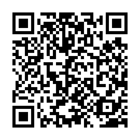 QR code for plate 4Y4 638