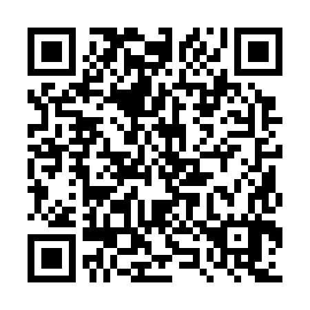 QR code for 4Z1 387