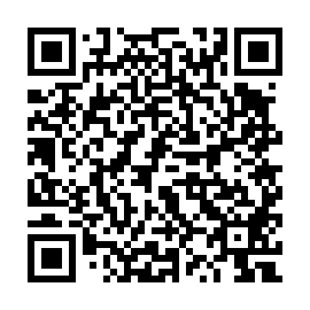 QR code for plate 4Z7 488