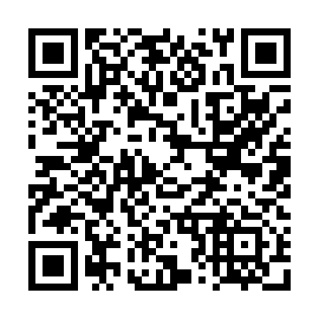 QR code for plate 4Z9 013