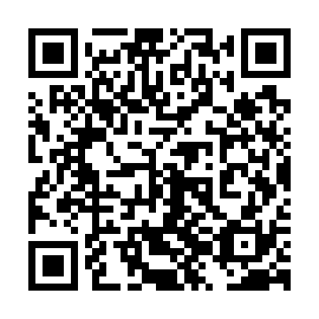 QR code for plate 4ZG W30