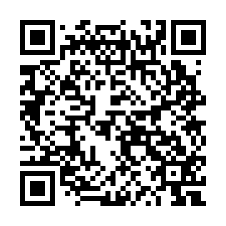 QR code for 4ZS 313