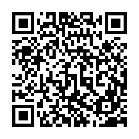 QR code for 50P H66