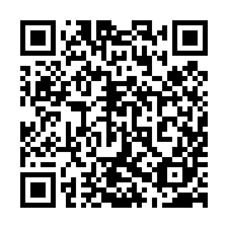 QR code for plate 50Q 480