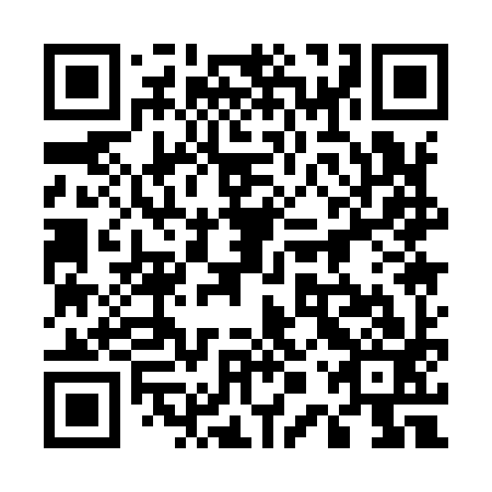 QR code for 50Q993