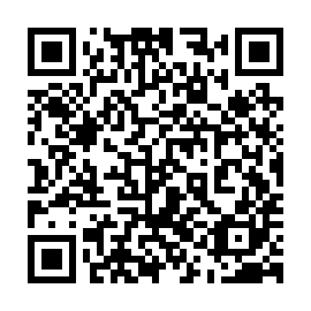QR code for plate 51C B80