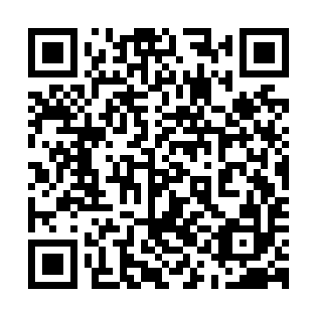 QR code for plate 51C N92