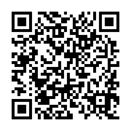QR code for plate 51D 395