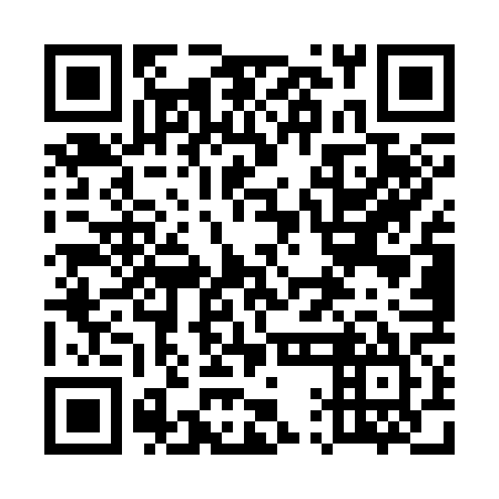 QR code for plate 51E S65