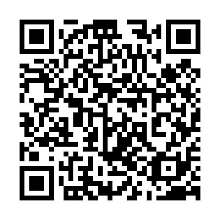 QR code for plate 51G 411
