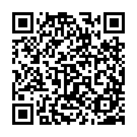 QR code for plate 51H CL0