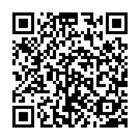 QR code for plate 51L 369