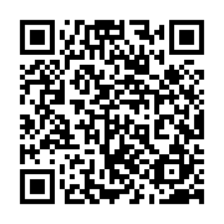 QR code for plate 51L X22