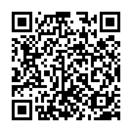 QR code for plate 51M U31
