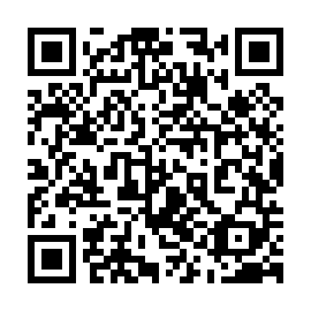 QR code for 51N P49