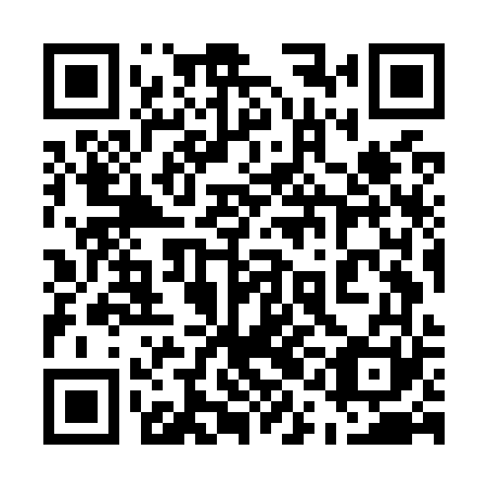 QR code for plate 51O O61