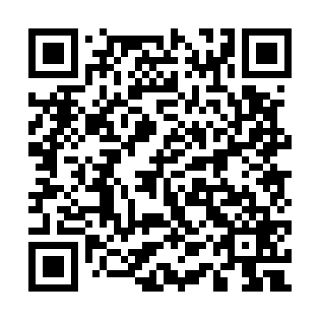 QR code for 51P 569