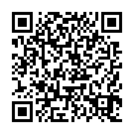 QR code for 51P 703