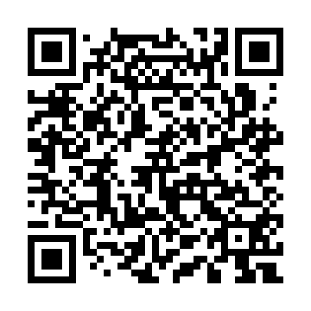 QR code for 51P CE0