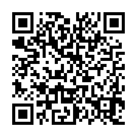 QR code for 51P LY0