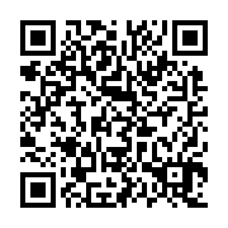 QR code for 51P O04