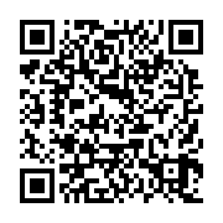 QR code for 51P309