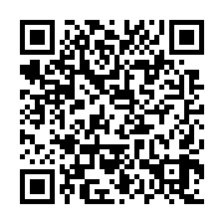 QR code for 51PG49