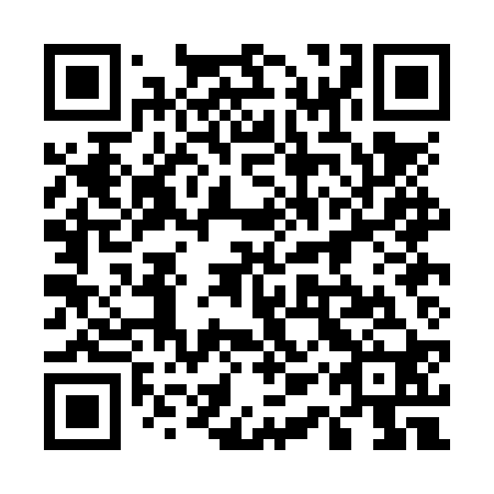 QR code for plate 51P NR0