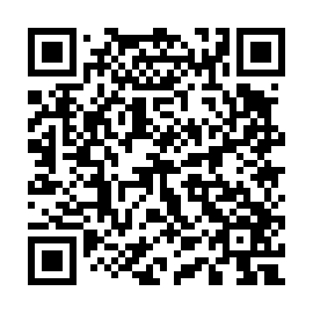QR code for 51Q 446