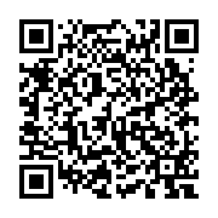 QR code for plate 51Q C91