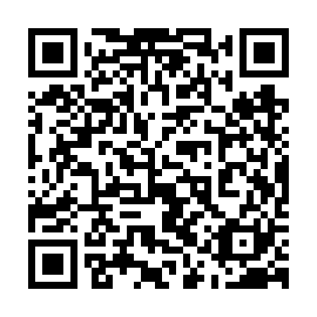 QR code for plate 51Q VR1