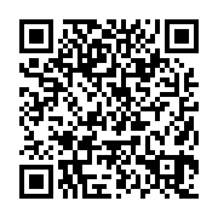 QR code for plate 51R 061