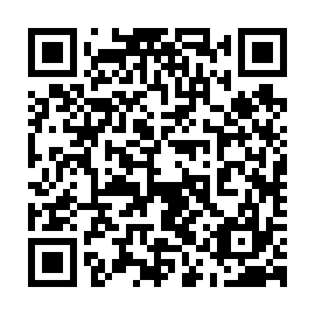 QR code for plate 51R 637