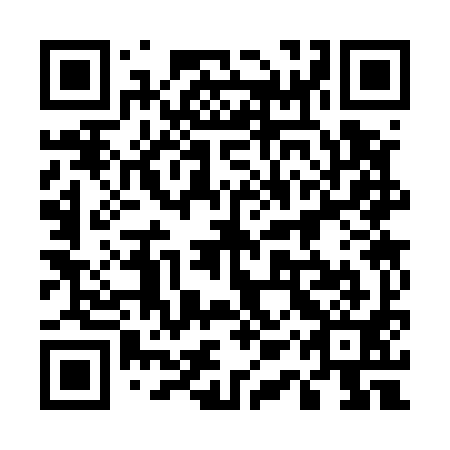 QR code for plate 51S 591
