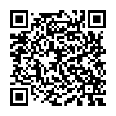 QR code for plate 51S 907