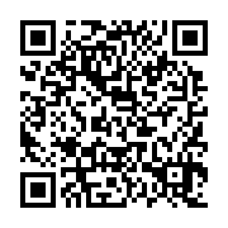 QR code for 51T 334