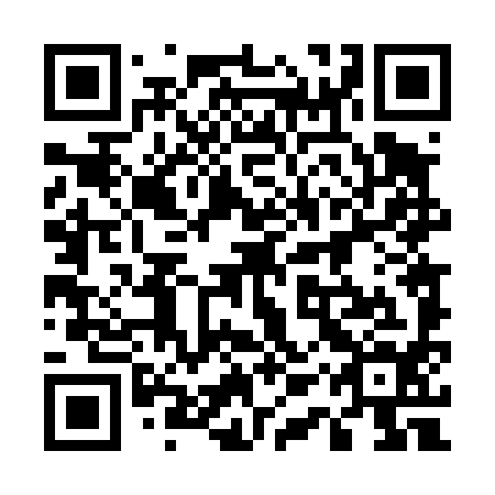 QR code for 51T 494