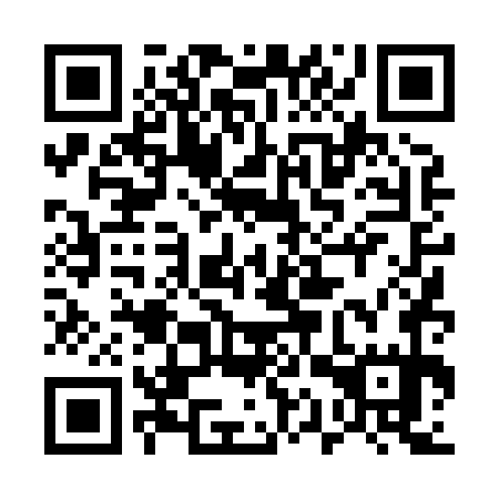 QR code for 51T 875
