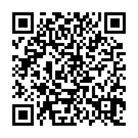QR code for plate 51T BV4