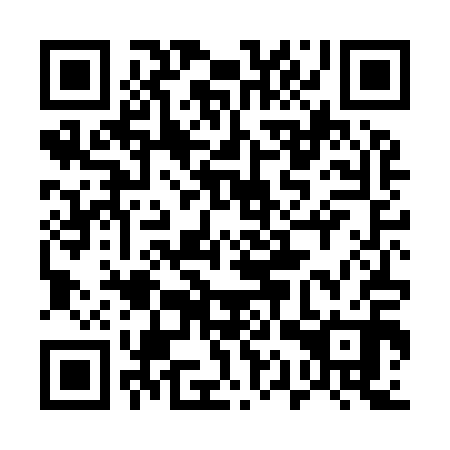 QR code for plate 51T I10
