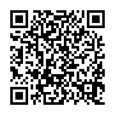 QR code for plate 51V 195