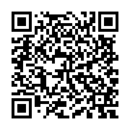 QR code for plate 51V M01
