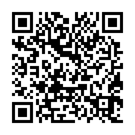 QR code for plate 51W 343