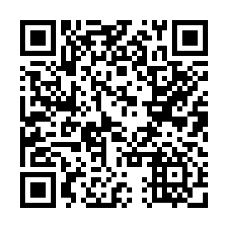 QR code for plate 51X 317