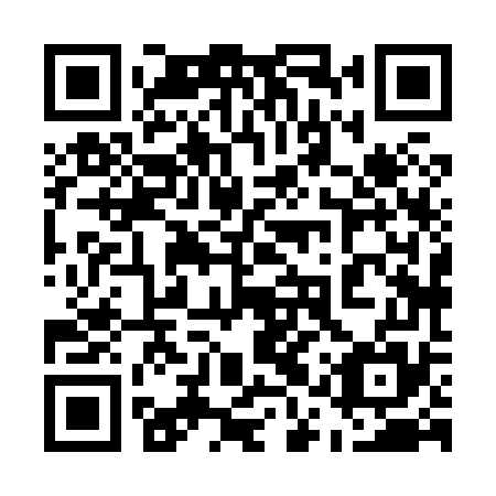 QR code for plate 51X 875