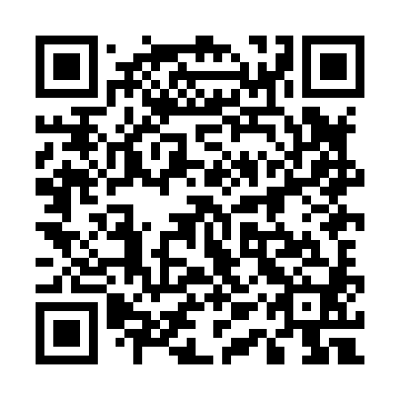 QR code for plate 51X H80