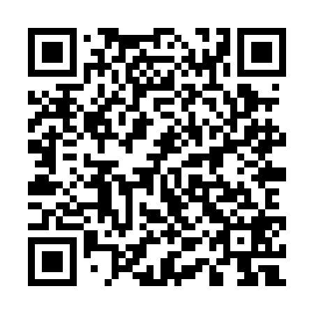QR code for plate 51X PJ8