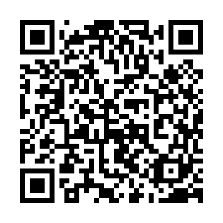 QR code for plate 51Y 061